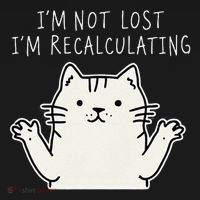 Funny Cat Gpsinspired Joke I’M Not Lost I’M Recalculating Women's Hoodie thumb 2