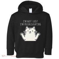 Funny Cat Gpsinspired Joke I’M Not Lost I’M Recalculating Toddler Hoodie thumb 0