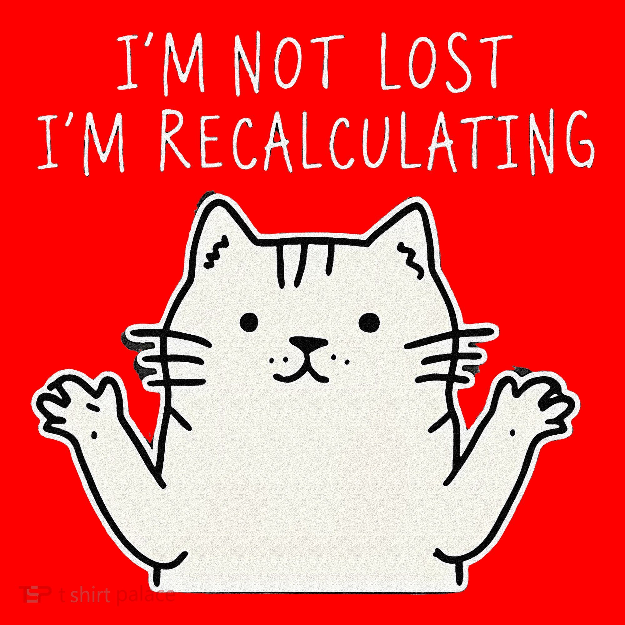 Funny Cat Gpsinspired Joke I’M Not Lost I’M Recalculating Santa Hat