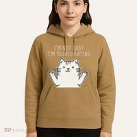 Funny Cat Gpsinspired Joke I’M Not Lost I’M Recalculating Hoodie thumb 5