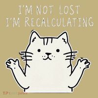 Funny Cat Gpsinspired Joke I’M Not Lost I’M Recalculating Polo thumb 2