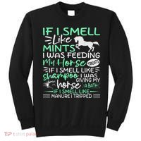 Funny Crazy Horse Women Girl, Horse Lover Ladies Gifts Sweatshirt thumb 0