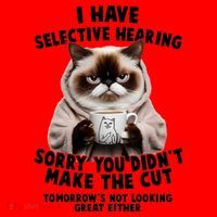 Funny Cat I Have Selective Hearing Sorry You Didn't Make The Cut  Santa Hat thumb 1