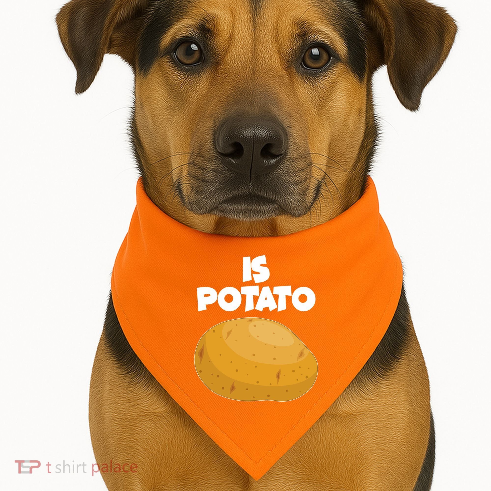 Funny Cute Is Potato USA-Made Doggie Bandana