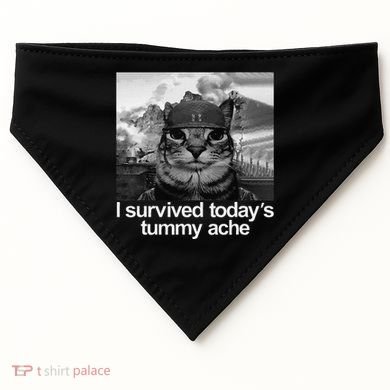 Fuuny Cat I Survived TodayS Tummy Ache USA-Made Doggie Bandana