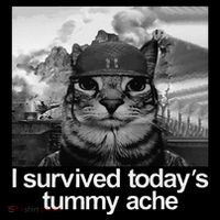 Fuuny Cat I Survived TodayS Tummy Ache Coffee Mug thumb 5