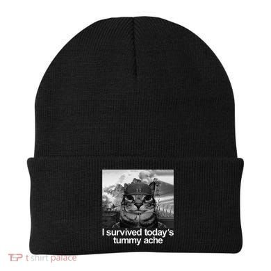 Fuuny Cat I Survived TodayS Tummy Ache Beanie
