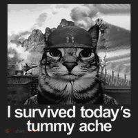 Fuuny Cat I Survived TodayS Tummy Ache Beanie thumb 2