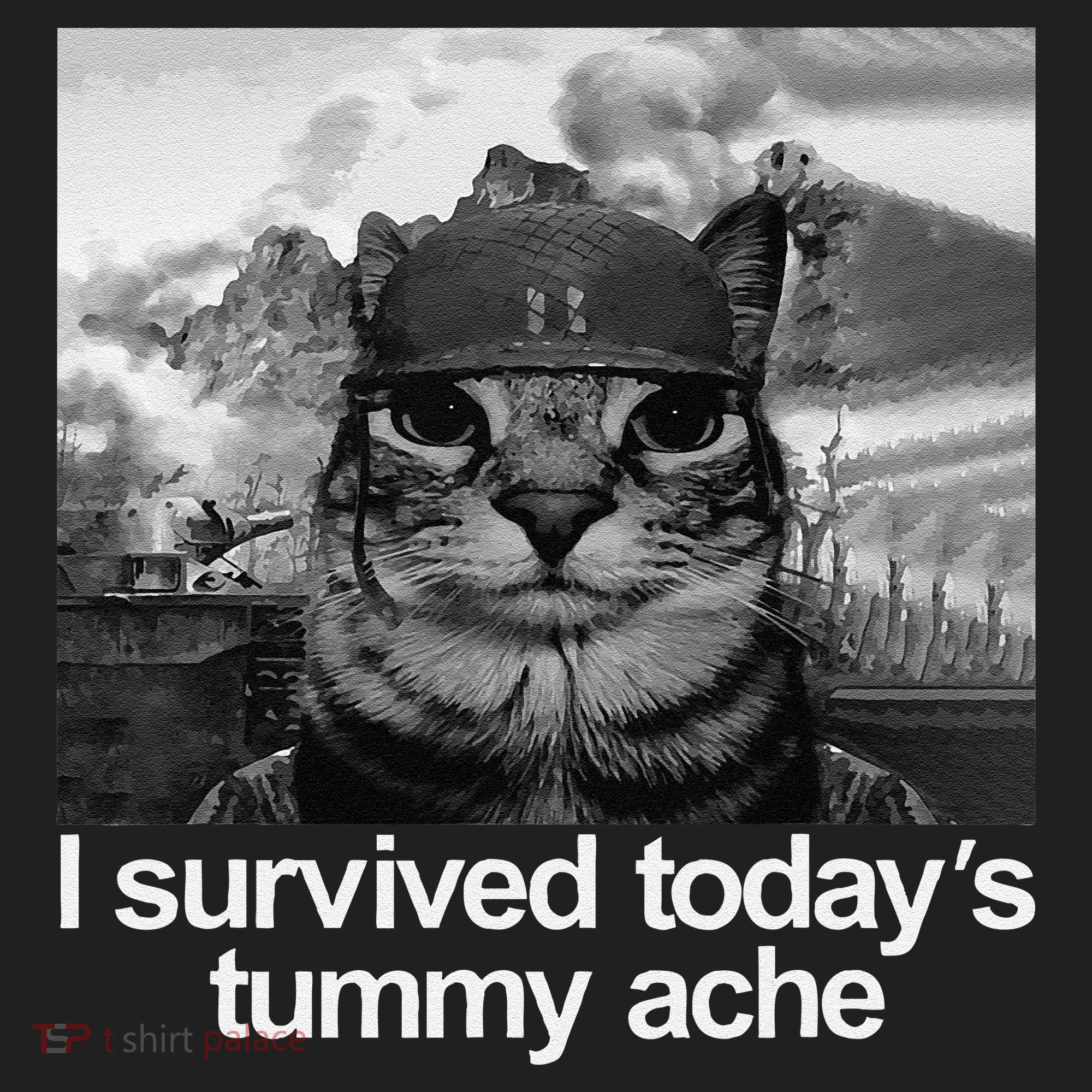 Fuuny Cat I Survived TodayS Tummy Ache Beanie