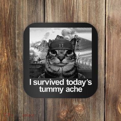 Fuuny Cat I Survived TodayS Tummy Ache Coaster