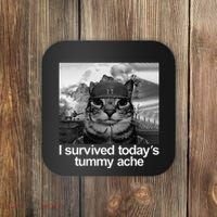Fuuny Cat I Survived TodayS Tummy Ache Coaster thumb 0