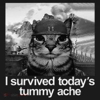 Fuuny Cat I Survived TodayS Tummy Ache Baby Bodysuit thumb 2