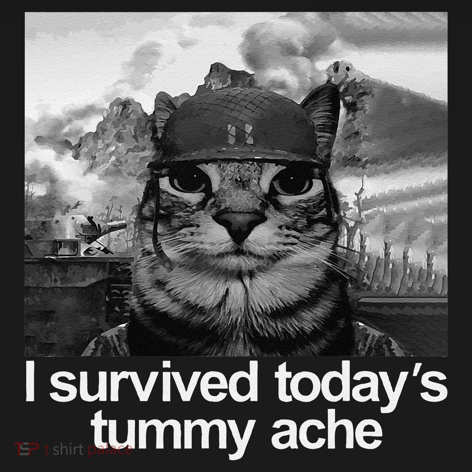 Fuuny Cat I Survived TodayS Tummy Ache Baby Bodysuit