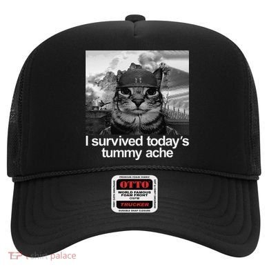 Fuuny Cat I Survived TodayS Tummy Ache Hat