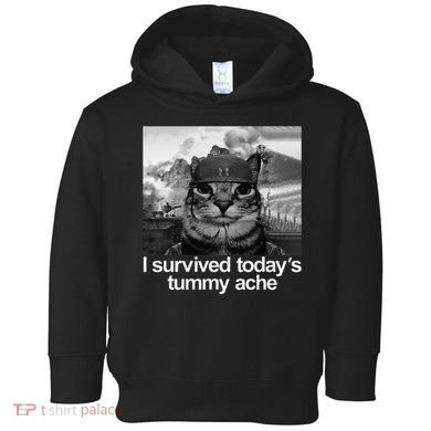 Fuuny Cat I Survived TodayS Tummy Ache Toddler Hoodie