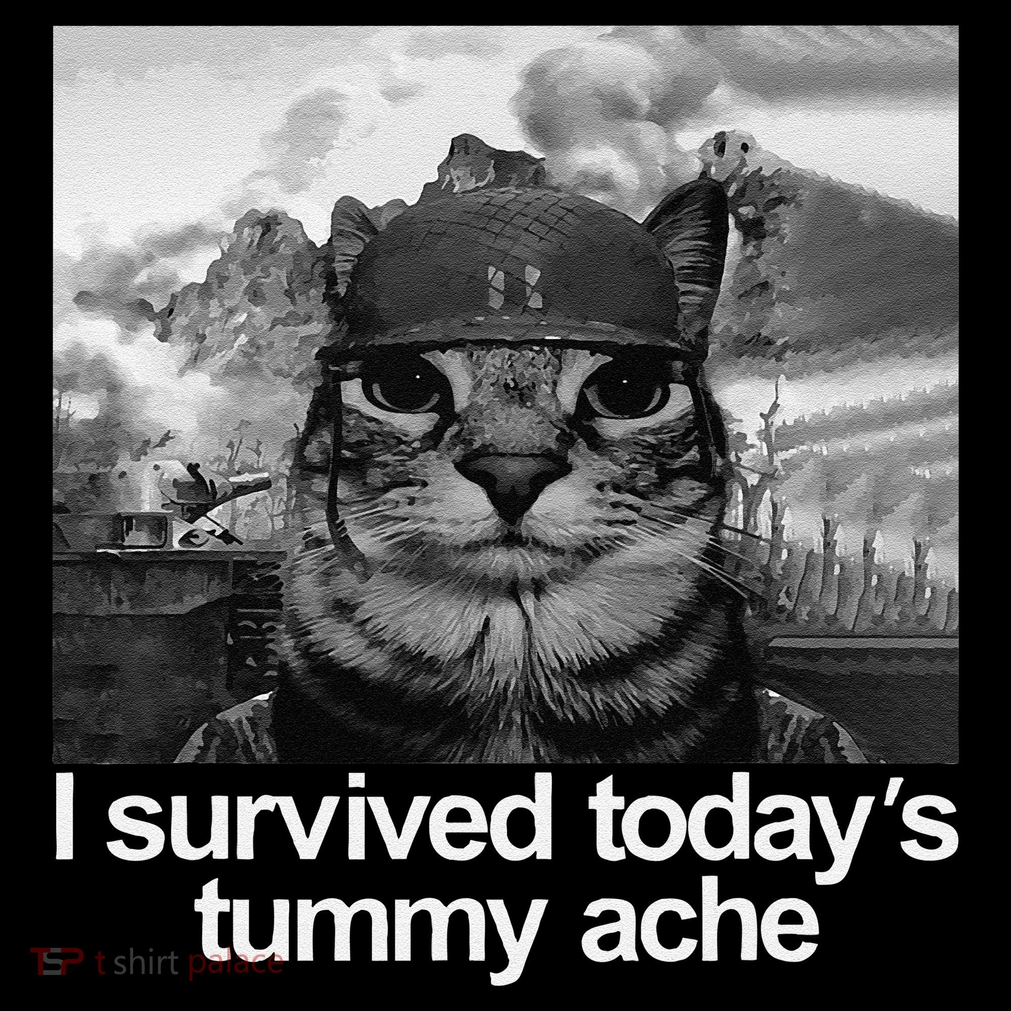 Fuuny Cat I Survived TodayS Tummy Ache Women's T-Shirt