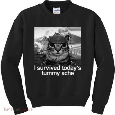 Fuuny Cat I Survived TodayS Tummy Ache Kids Sweatshirt