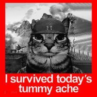 Fuuny Cat I Survived TodayS Tummy Ache Santa Hat thumb 1