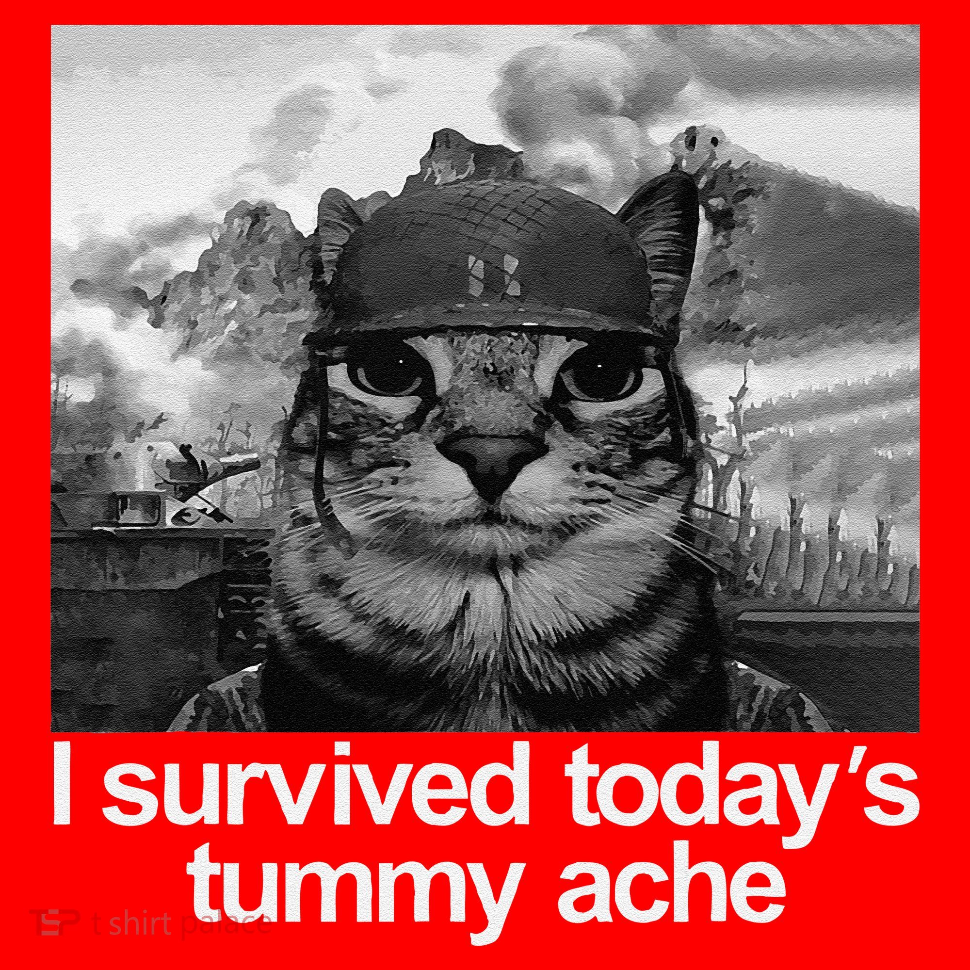 Fuuny Cat I Survived TodayS Tummy Ache Santa Hat