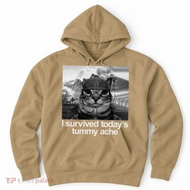 Fuuny Cat I Survived TodayS Tummy Ache Hoodie