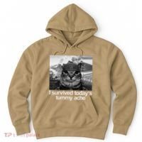 Fuuny Cat I Survived TodayS Tummy Ache Hoodie thumb 0