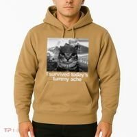 Fuuny Cat I Survived TodayS Tummy Ache Hoodie thumb 2