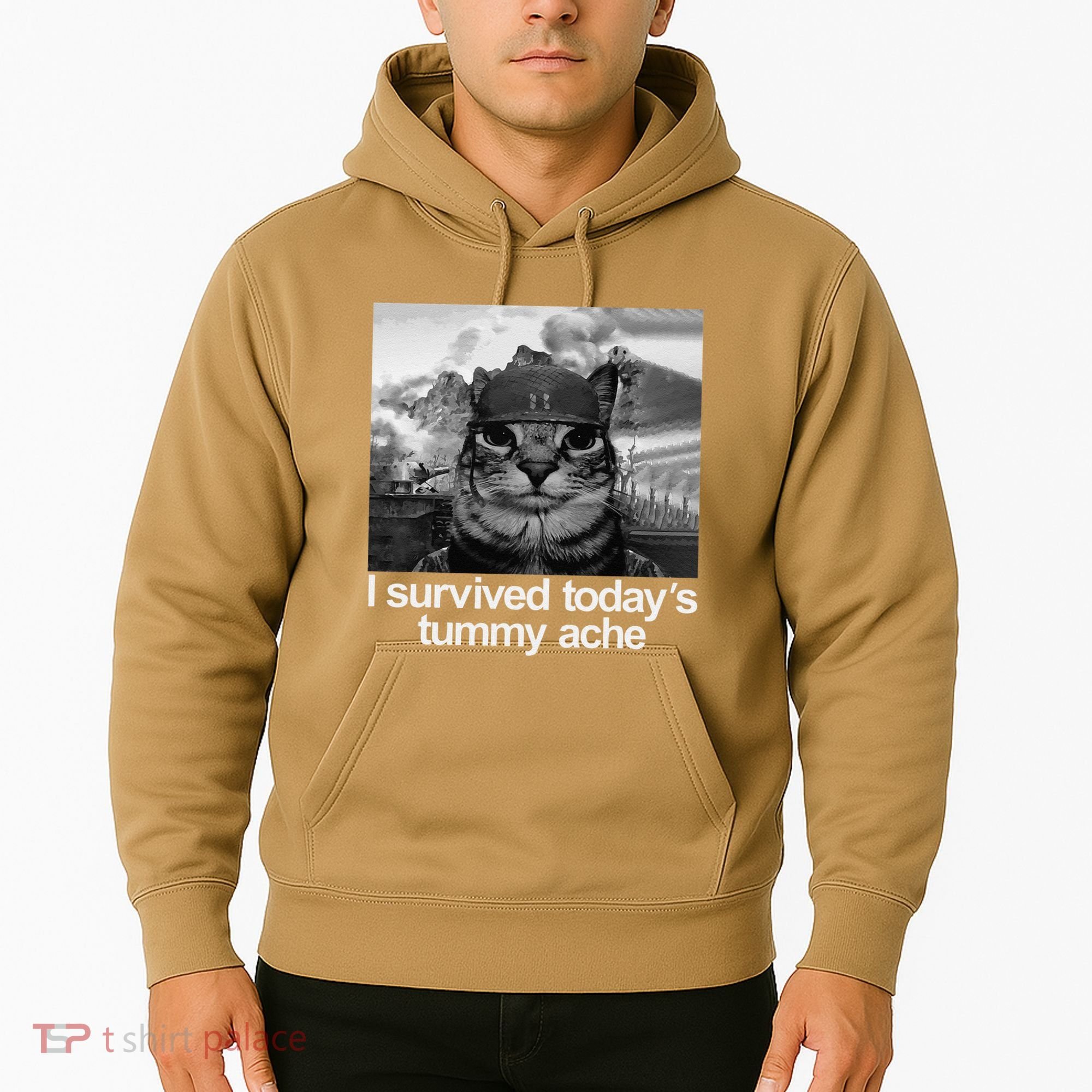 Fuuny Cat I Survived TodayS Tummy Ache Hoodie