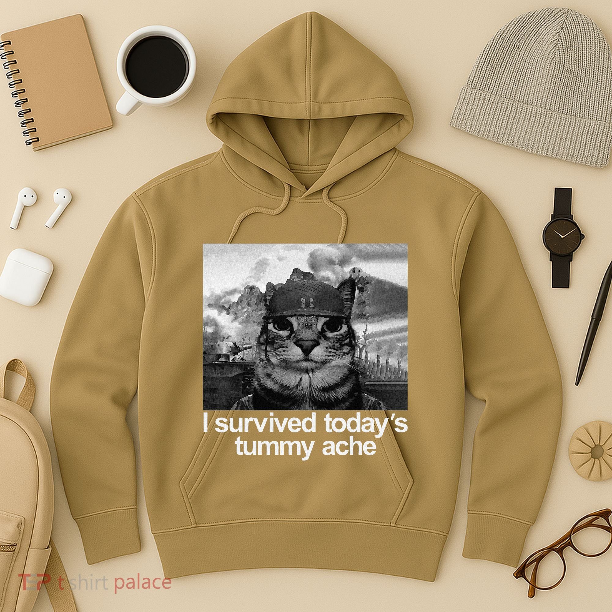 Fuuny Cat I Survived TodayS Tummy Ache Hoodie