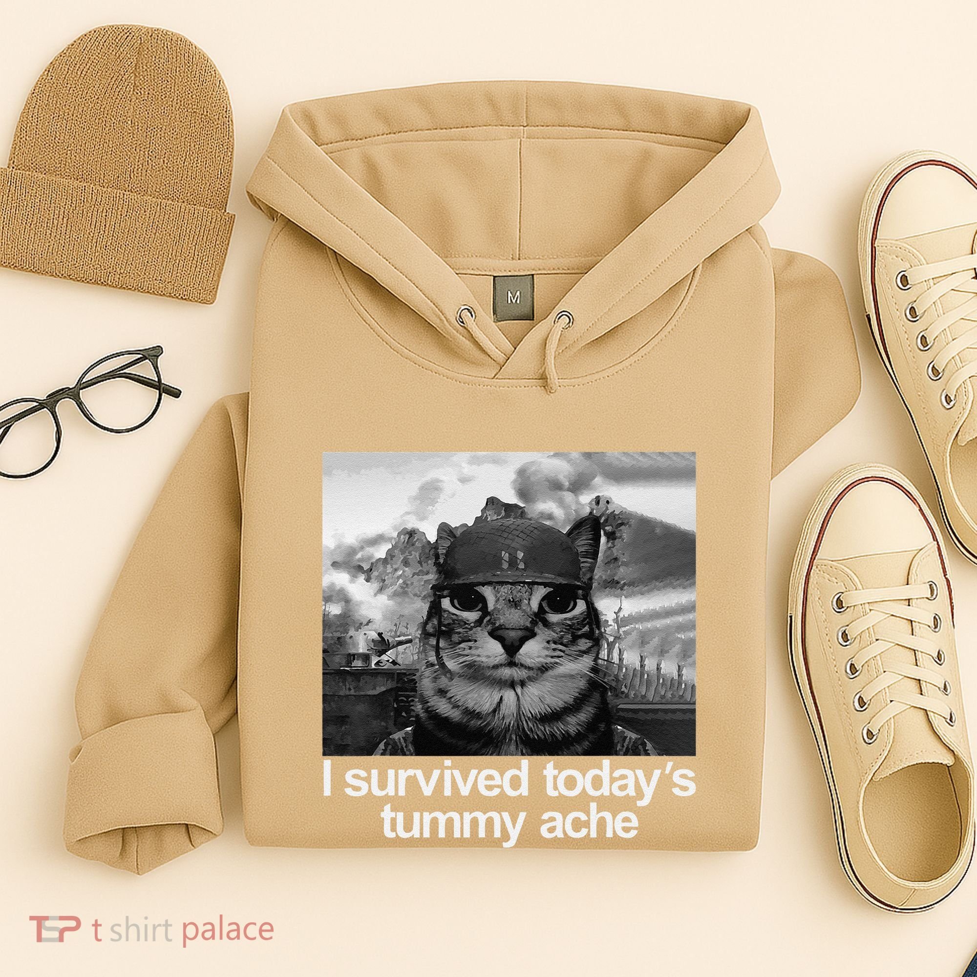 Fuuny Cat I Survived TodayS Tummy Ache Hoodie