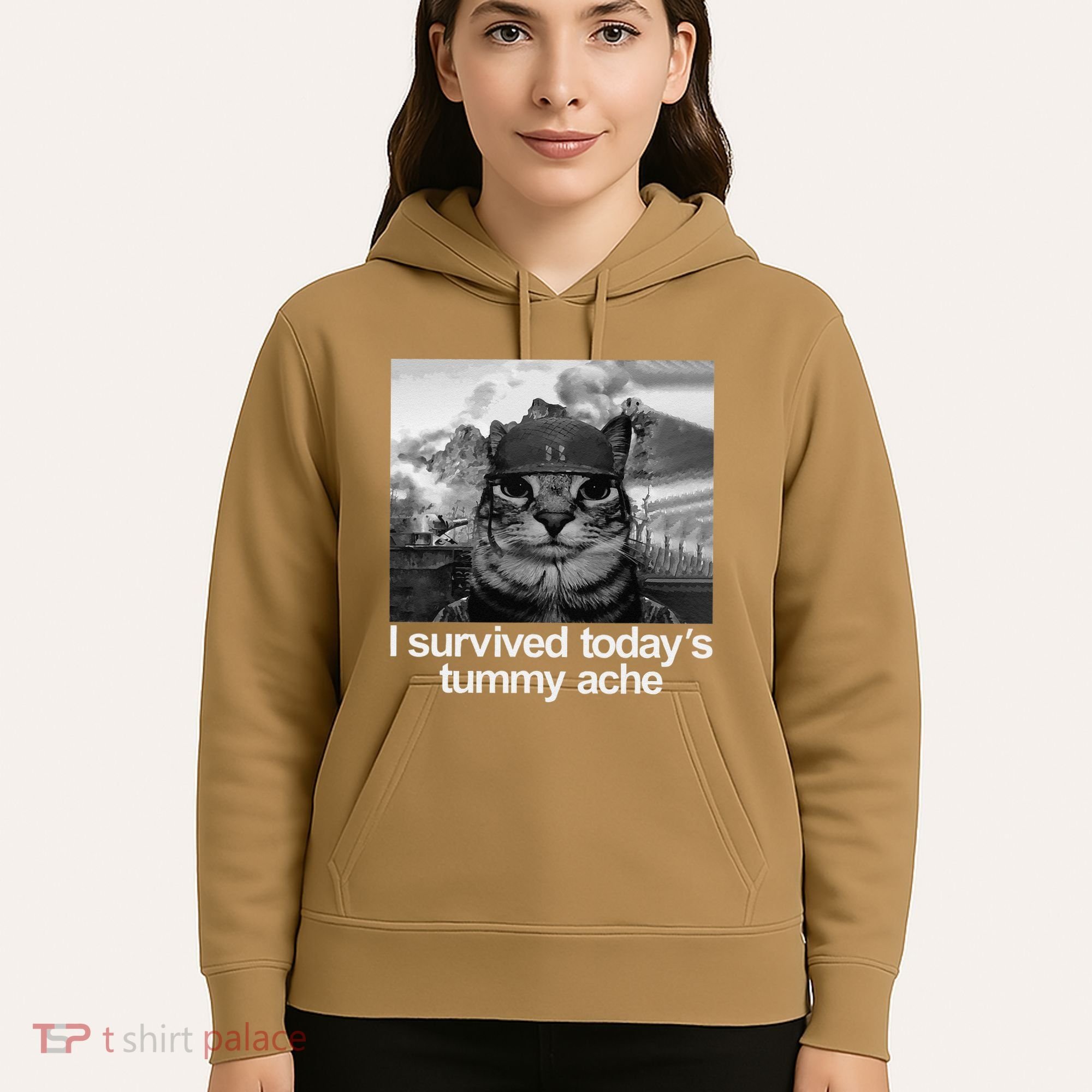 Fuuny Cat I Survived TodayS Tummy Ache Hoodie