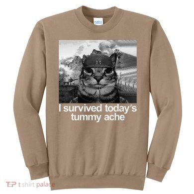Fuuny Cat I Survived TodayS Tummy Ache Sweatshirt
