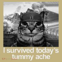 Fuuny Cat I Survived TodayS Tummy Ache Sweatshirt thumb 2