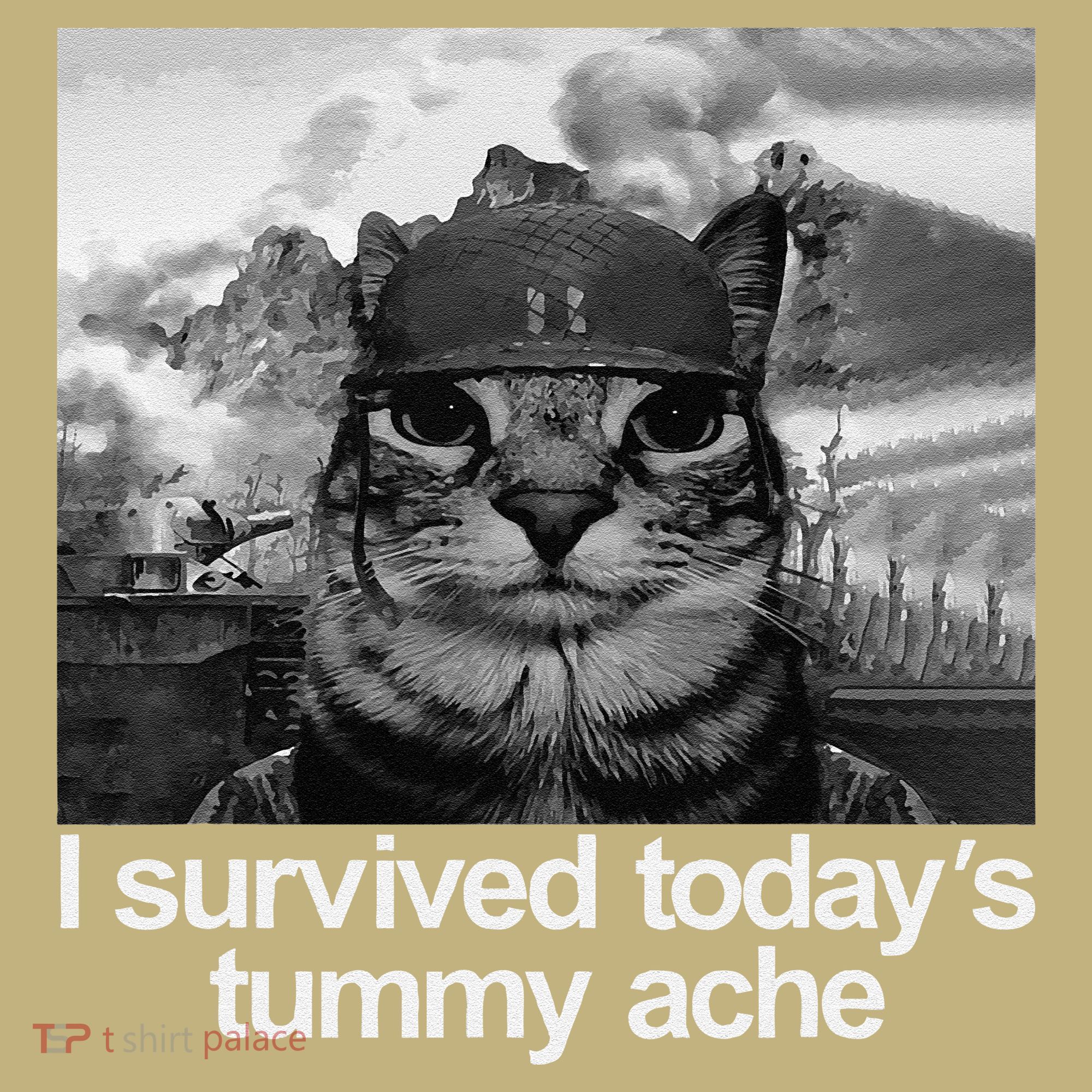 Fuuny Cat I Survived TodayS Tummy Ache Sweatshirt