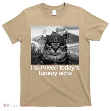 Fuuny Cat I Survived TodayS Tummy Ache T-Shirt