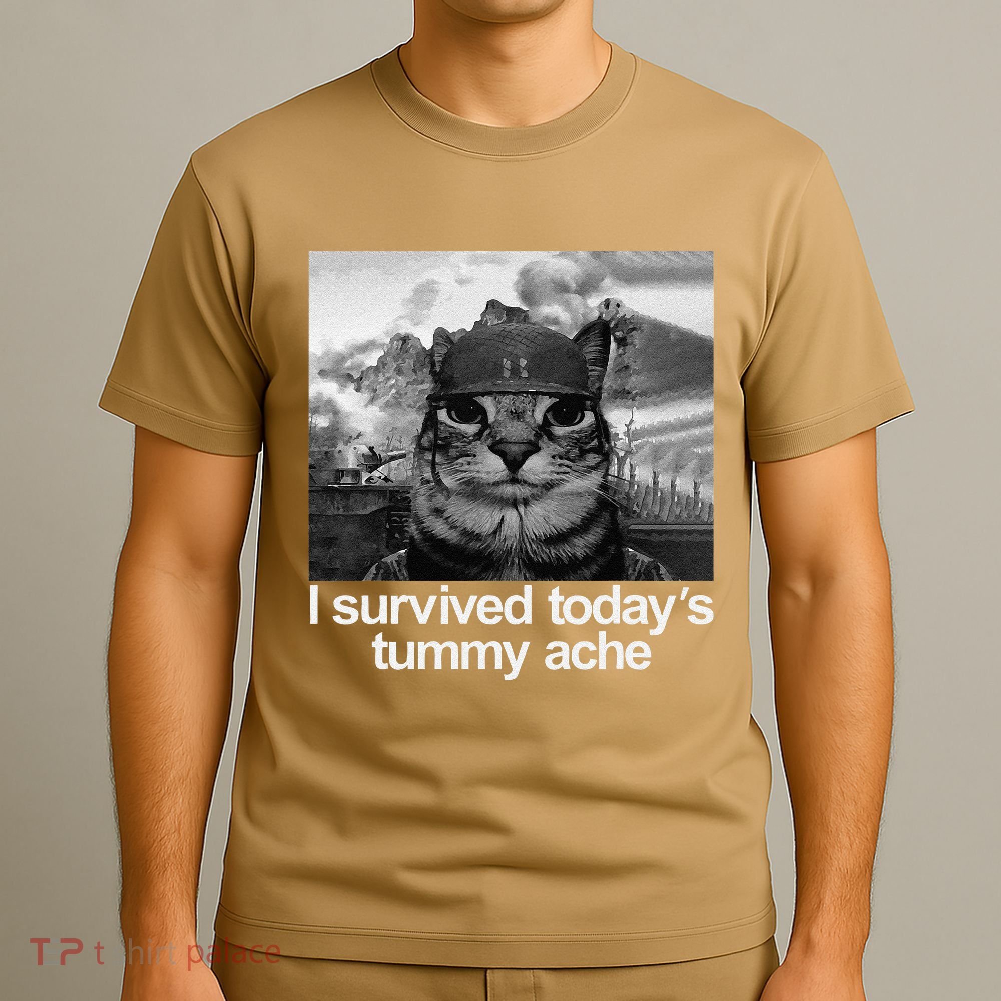 Fuuny Cat I Survived TodayS Tummy Ache T-Shirt