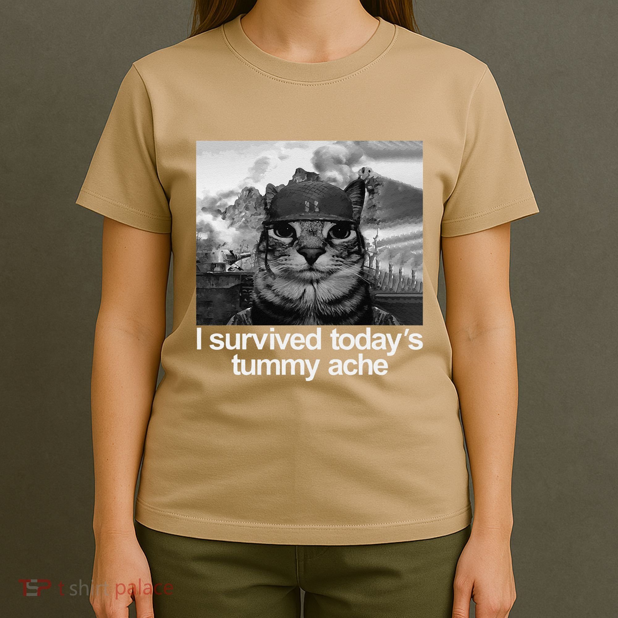 Fuuny Cat I Survived TodayS Tummy Ache T-Shirt
