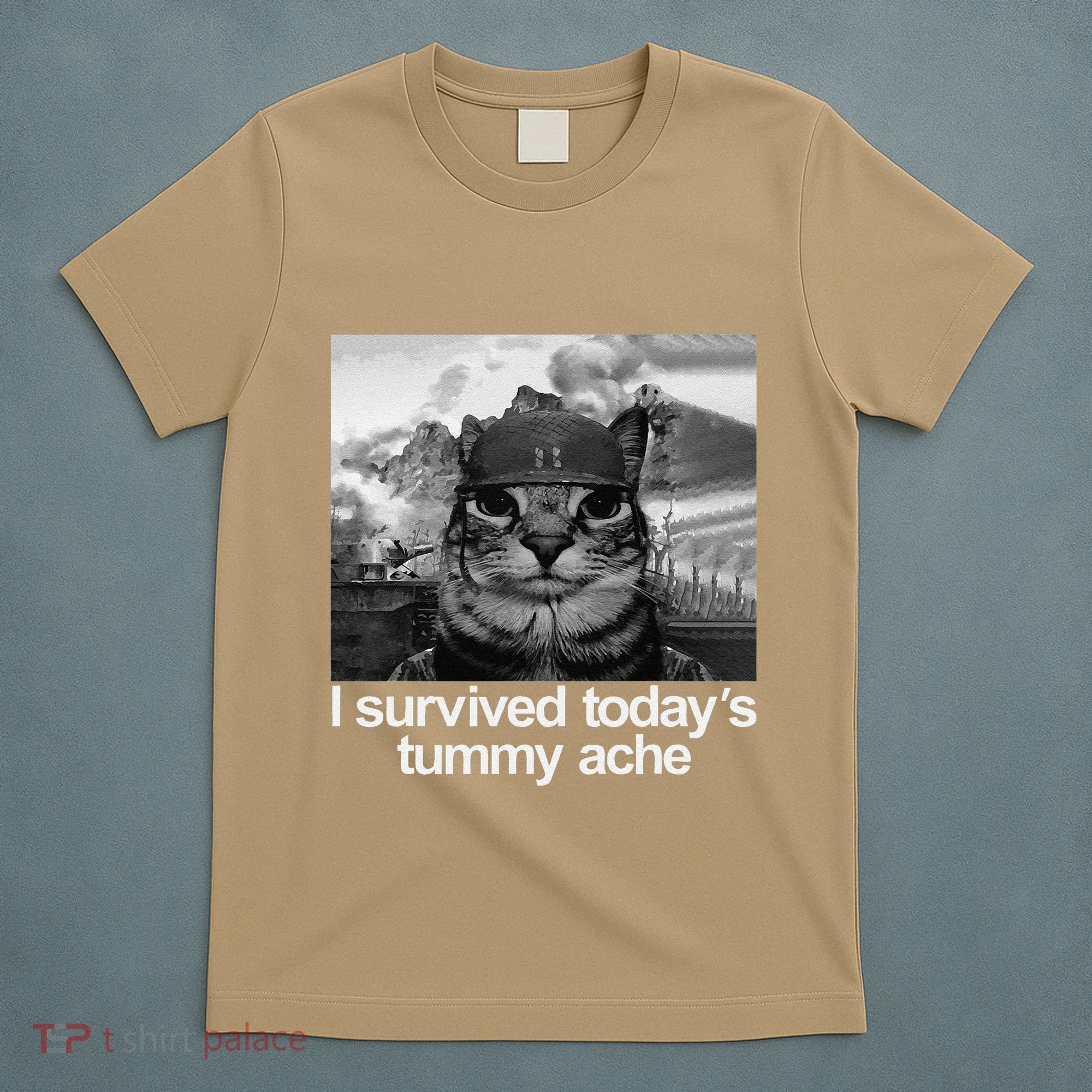 Fuuny Cat I Survived TodayS Tummy Ache T-Shirt