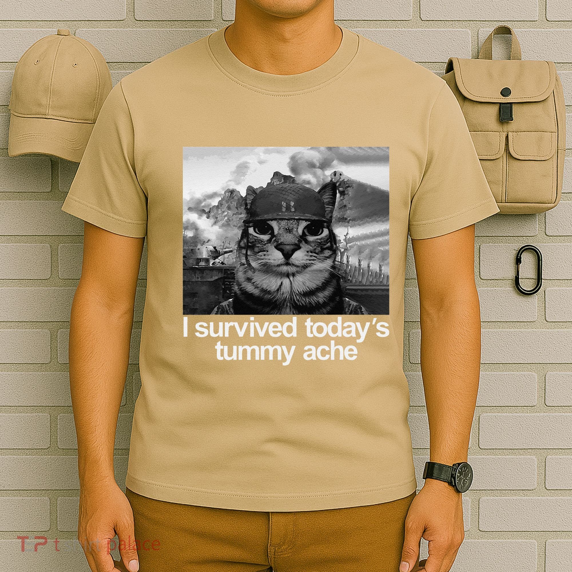 Fuuny Cat I Survived TodayS Tummy Ache T-Shirt