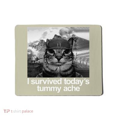 Fuuny Cat I Survived TodayS Tummy Ache Mousepad