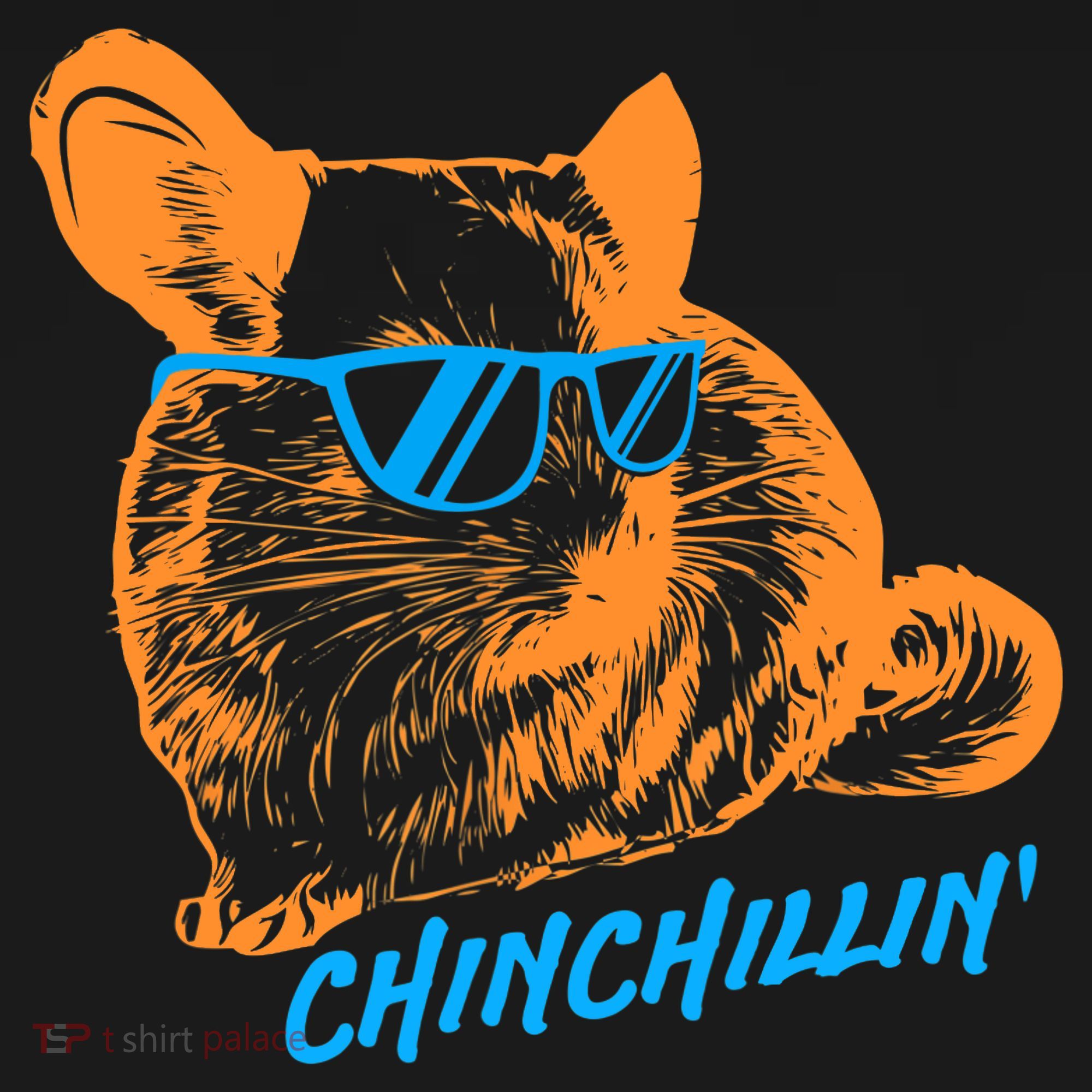 Funny Chinchillin I Chinchilla Owners Hoodie
