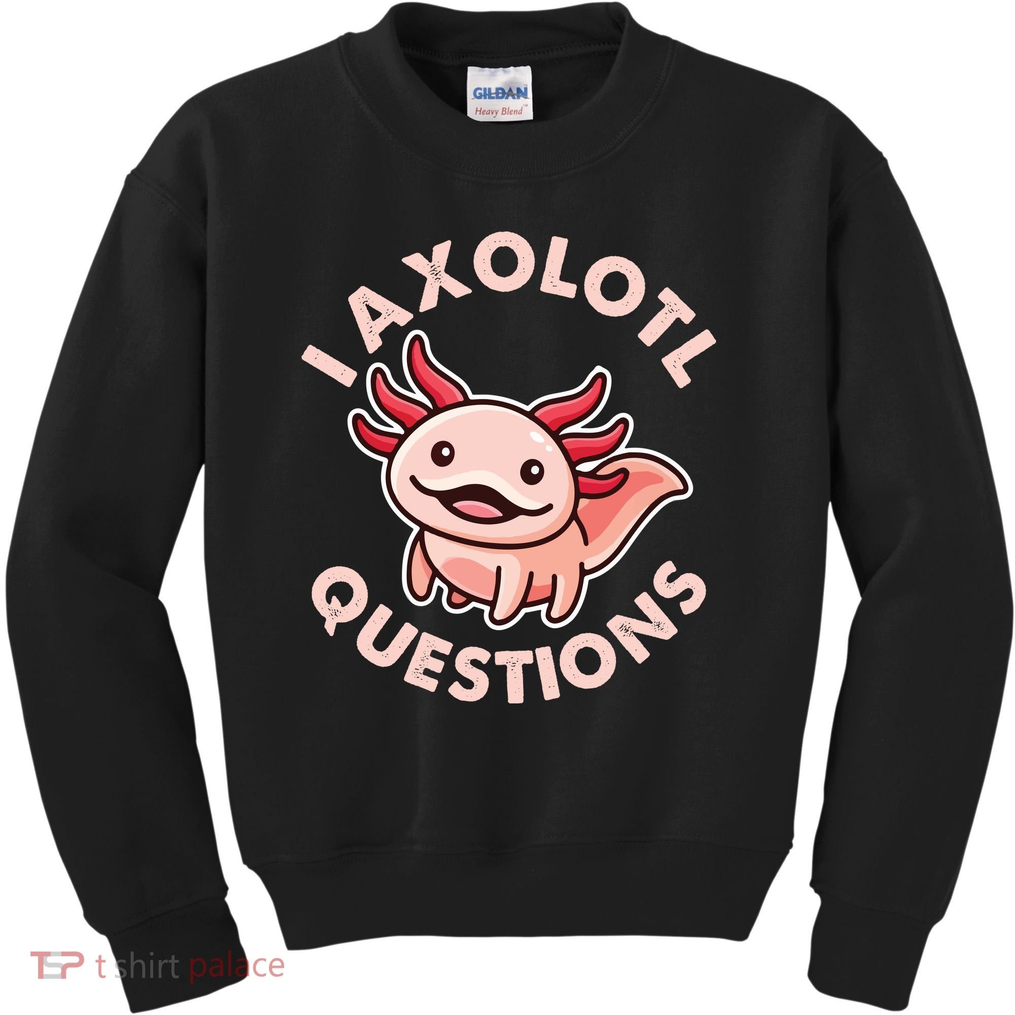 Funny Cute I Axolotl Questions Kids Sweatshirt