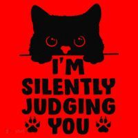 Funny Cat Im Silently Judging You Santa Hat thumb 1