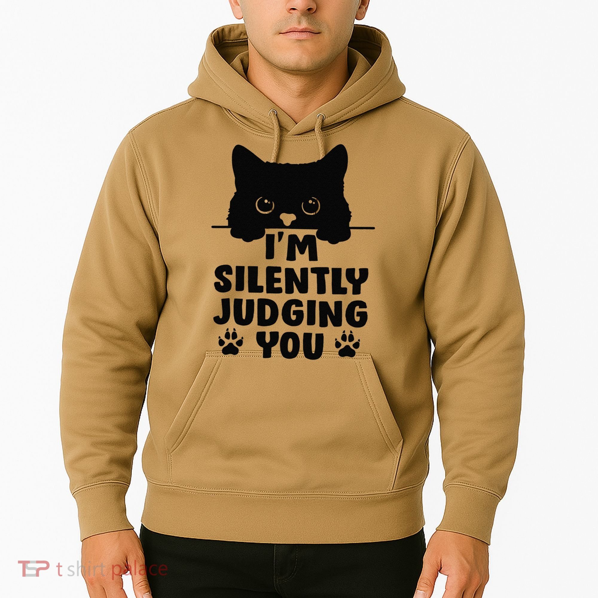 Funny Cat Im Silently Judging You Hoodie