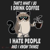 Funny Cat I Coffee Hate People And I Know Things Cat Gift Women's Sweatshirt thumb 2