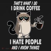 Funny Cat I Coffee Hate People And I Know Things Cat Gift Ornament thumb 1