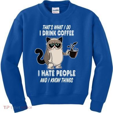 Funny Cat I Coffee Hate People And I Know Things Cat Gift Kids Sweatshirt