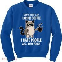 Funny Cat I Coffee Hate People And I Know Things Cat Gift Kids Sweatshirt thumb 0