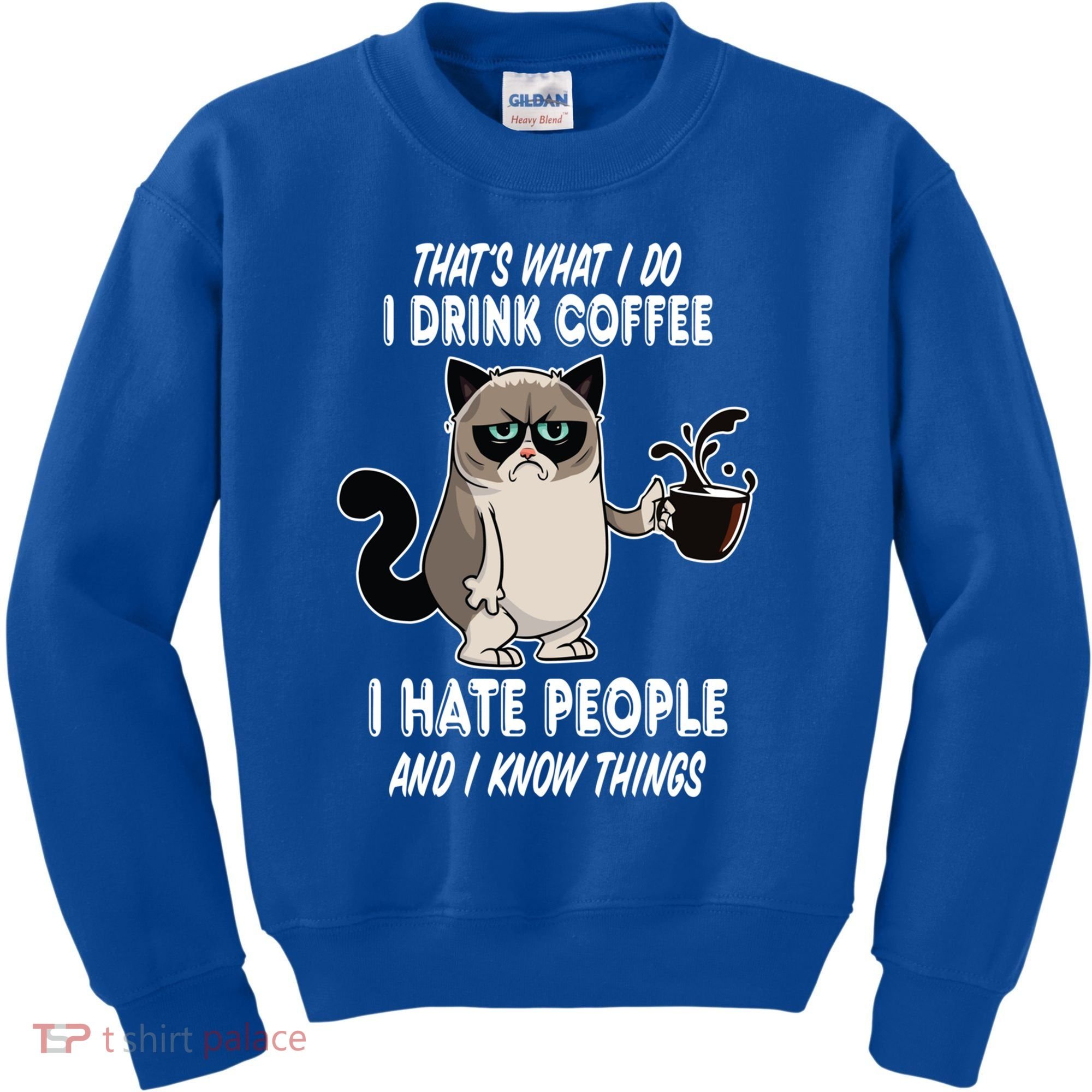 Funny Cat I Coffee Hate People And I Know Things Cat Gift Kids Sweatshirt