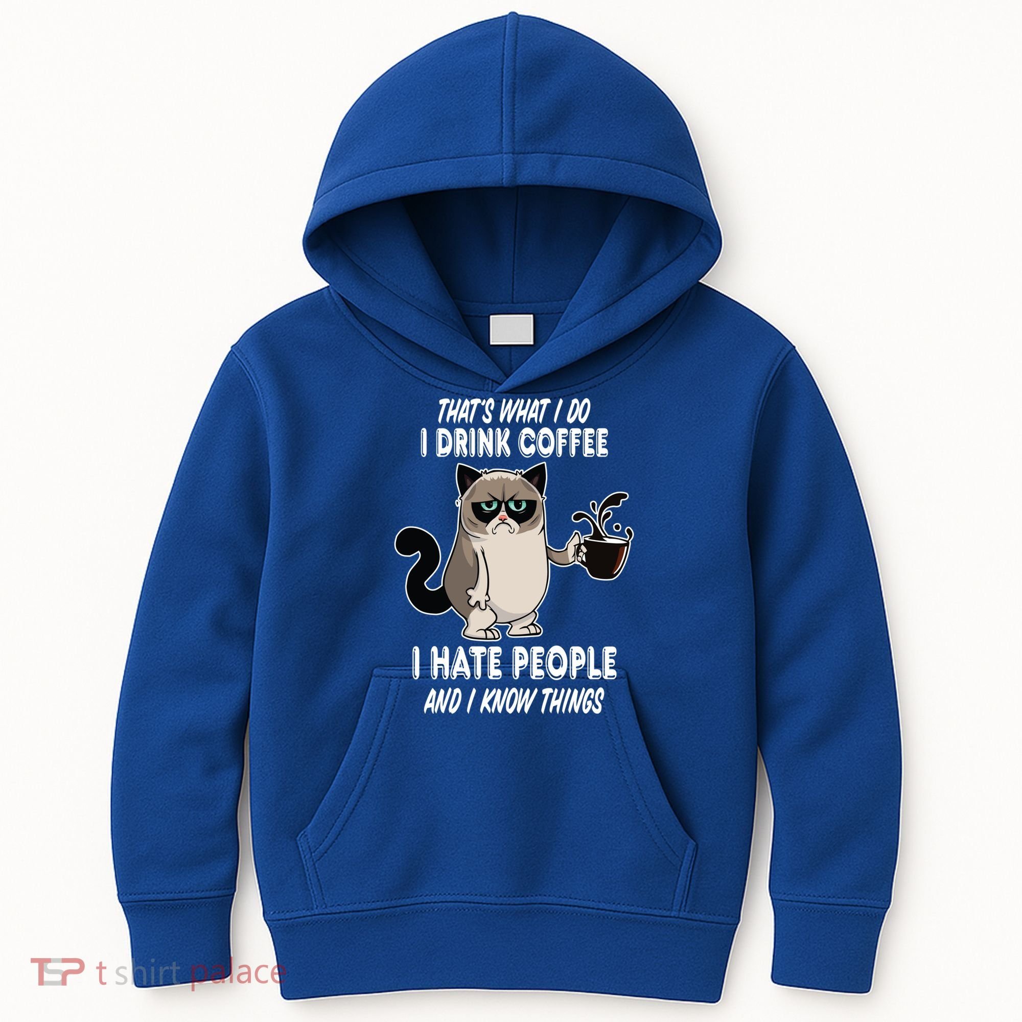 Funny Cat I Coffee Hate People And I Know Things Cat Gift Kids Hoodie