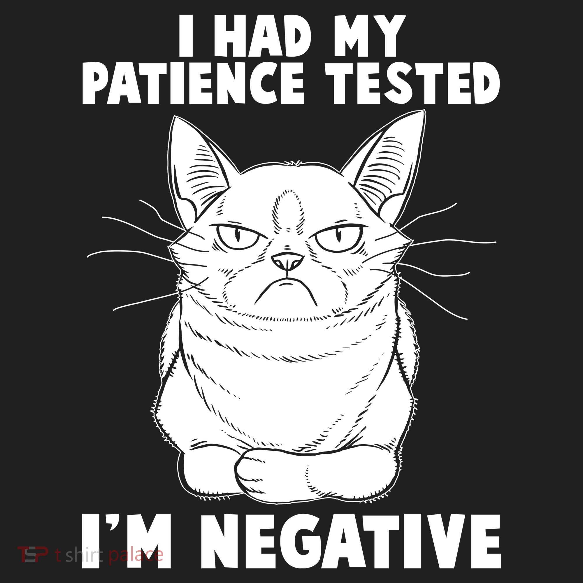 Funny Cat I Had My Patience Tested I'm Negative Beanie